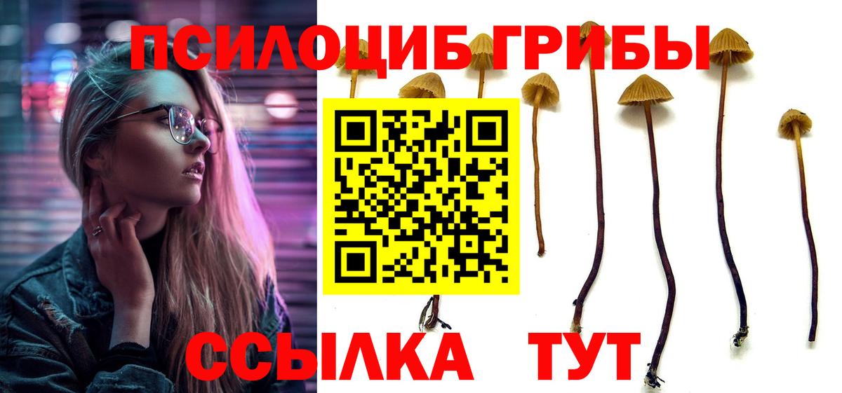 Псилоцибиновые грибы Psilocybe Аксай
